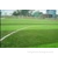 Monofilament artificial grass for football field